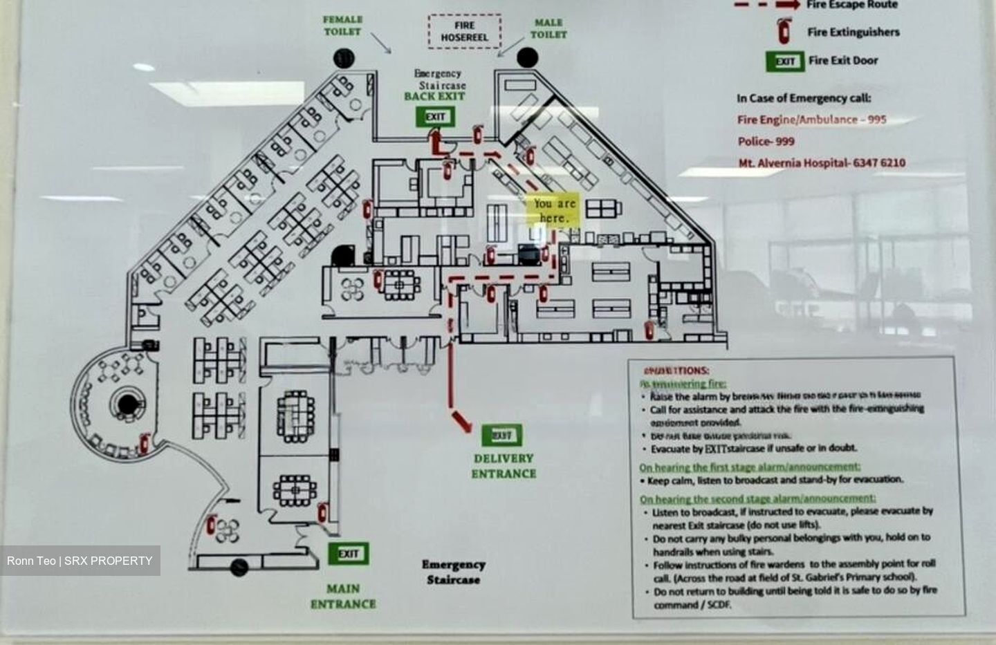 New Tech Park (D19), Factory #481520581